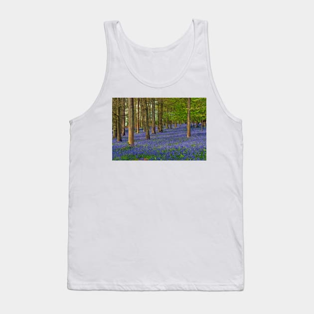 Bluebell Woods Greys Court Oxfordshire UK Tank Top by AndyEvansPhotos